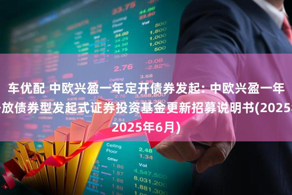 车优配 中欧兴盈一年定开债券发起: 中欧兴盈一年定期开放债券型发起式证券投资基金更新招募说明书(2025年6月)