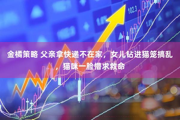 金橘策略 父亲拿快递不在家，女儿钻进猫笼搞乱，猫咪一脸懵求救命