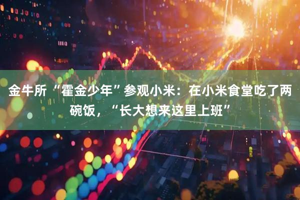 金牛所 “霍金少年”参观小米：在小米食堂吃了两碗饭，“长大想来这里上班”